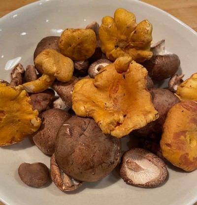 Mushroom Pinxtos