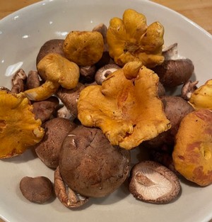 Mushroom Pinxtos